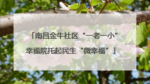 南昌金牛社区“一老一小”幸福院托起民生“微幸福”