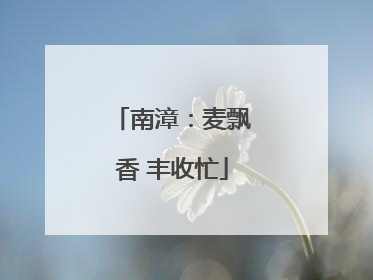 南漳：麦飘香 丰收忙