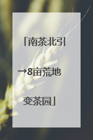 南茶北引→8亩荒地变茶园