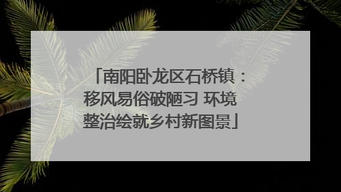 南阳卧龙区石桥镇：移风易俗破陋习 环境整治绘就乡村新图景