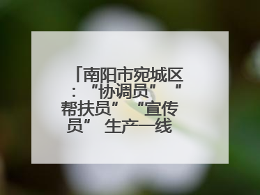 南阳市宛城区：“协调员”“帮扶员”“宣传员” 生产一线助力抢收抢种
