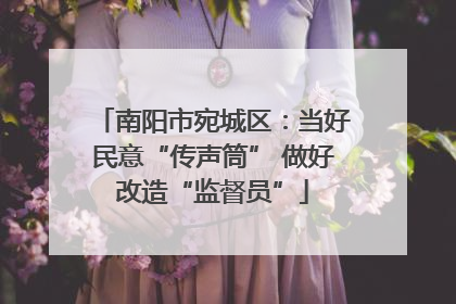 南阳市宛城区：当好民意“传声筒” 做好改造“监督员”