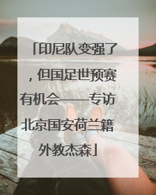 印尼队变强了，但国足世预赛有机会——专访北京国安荷兰籍外教杰森