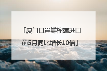 厦门口岸鲜榴莲进口 前5月同比增长10倍