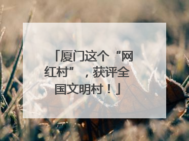 厦门这个“网红村”，获评全国文明村！