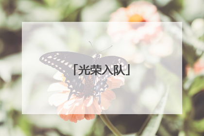 光荣入队