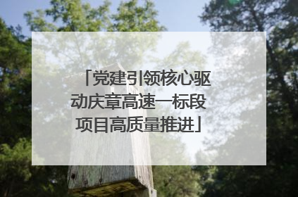 党建引领核心驱动庆章高速一标段项目高质量推进