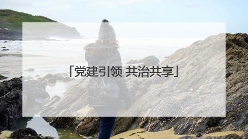 党建引领 共治共享