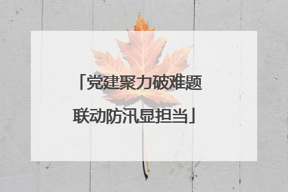 党建聚力破难题 联动防汛显担当