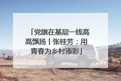 党旗在基层一线高高飘扬丨张桂芳：用青春为乡村添彩