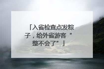 入省检查点发粽子，给外省游客“整不会了”