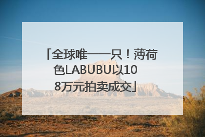 全球唯一一只！薄荷色LABUBU以108万元拍卖成交