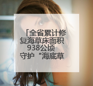 全省累计修复海草床面积938公顷 守护“海底草原”，织密海底生态“一张网”