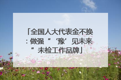 全国人大代表金不换：做强“‘豫’见未来”未检工作品牌