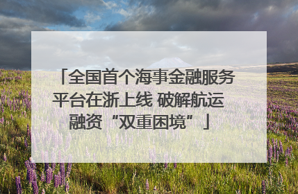 全国首个海事金融服务平台在浙上线 破解航运融资“双重困境”