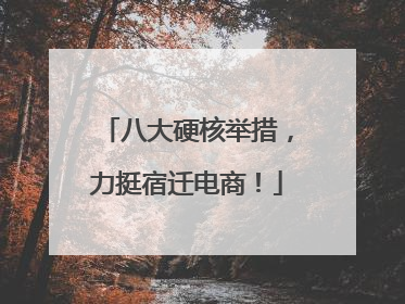 八大硬核举措，力挺宿迁电商！