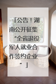 公告！湖南公开征集“全省退役军人就业合作签约企业”