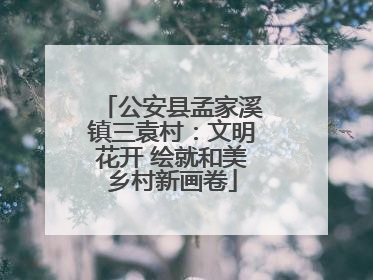 公安县孟家溪镇三袁村：文明花开 绘就和美乡村新画卷
