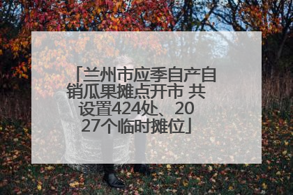 兰州市应季自产自销瓜果摊点开市 共设置424处、2027个临时摊位
