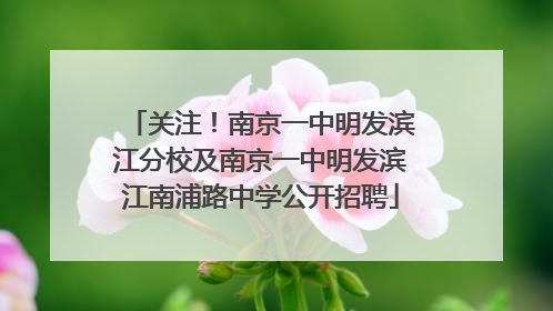 关注！南京一中明发滨江分校及南京一中明发滨江南浦路中学公开招聘