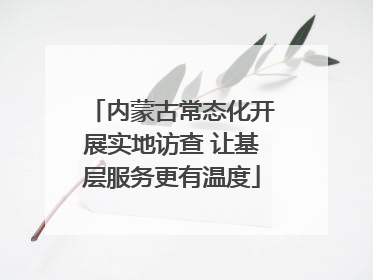 内蒙古常态化开展实地访查 让基层服务更有温度