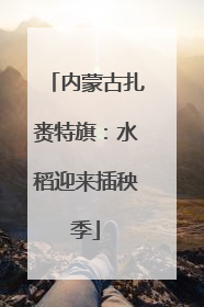 内蒙古扎赉特旗：水稻迎来插秧季