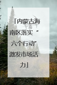 内蒙古海南区落实“六个行动”激发市场活力