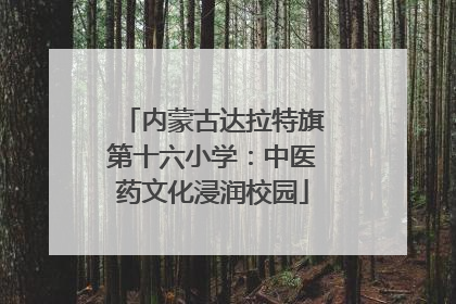 内蒙古达拉特旗第十六小学：中医药文化浸润校园