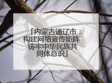 内蒙古通辽市：构建网络宣传矩阵 铸牢中华民族共同体意识