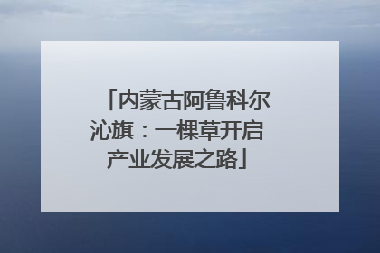 内蒙古阿鲁科尔沁旗：一棵草开启产业发展之路