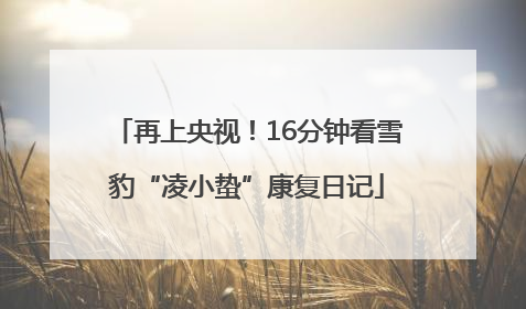再上央视！16分钟看雪豹“凌小蛰”康复日记