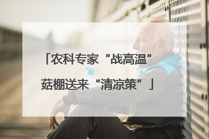 农科专家“战高温” 菇棚送来“清凉策”