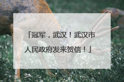 冠军，武汉！武汉市人民政府发来贺信！