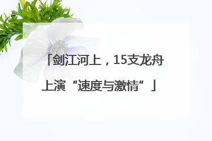 剑江河上，15支龙舟上演“速度与激情”