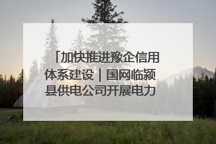 加快推进豫企信用体系建设｜国网临颍县供电公司开展电力行业信用企业现场咨询访谈工作