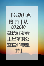 劳动九宫格 ①|从8726位微信好友看王星苹的公益信仰与坚持