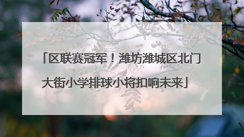区联赛冠军！潍坊潍城区北门大街小学排球小将扣响未来