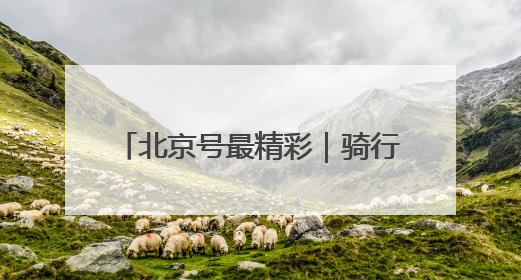 北京号最精彩｜骑行+跑步！海淀这几条绝美路线不容错过