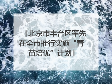 北京市丰台区率先在全市推行实施“青苗培优”计划