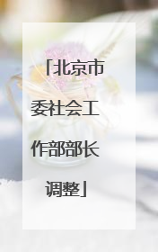 北京市委社会工作部部长调整