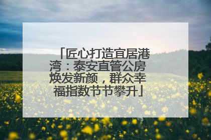 匠心打造宜居港湾：泰安直管公房焕发新颜，群众幸福指数节节攀升
