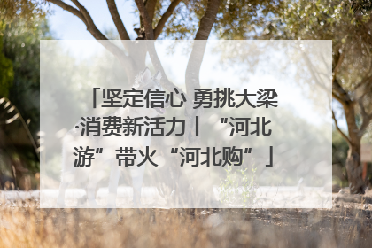 坚定信心 勇挑大梁·消费新活力丨“河北游”带火“河北购”