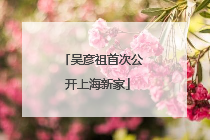 吴彦祖首次公开上海新家