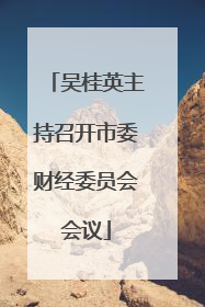 吴桂英主持召开市委财经委员会会议