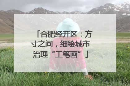 合肥经开区：方寸之间，细绘城市治理“工笔画”