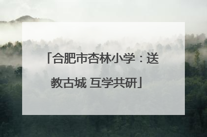 合肥市杏林小学：送教古城 互学共研