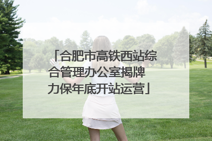 合肥市高铁西站综合管理办公室揭牌 力保年底开站运营