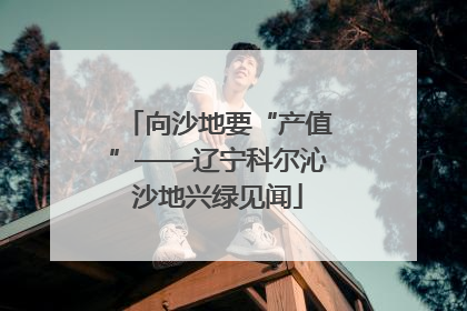 向沙地要“产值”——辽宁科尔沁沙地兴绿见闻