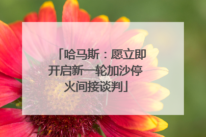 哈马斯：愿立即开启新一轮加沙停火间接谈判