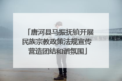 唐河县马振抚镇开展民族宗教政策法规宣传 营造团结和谐氛围